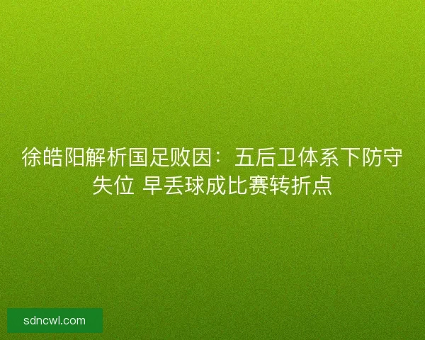徐皓阳解析国足败因：五后卫体系下防守失位 早丢球成比赛转折点