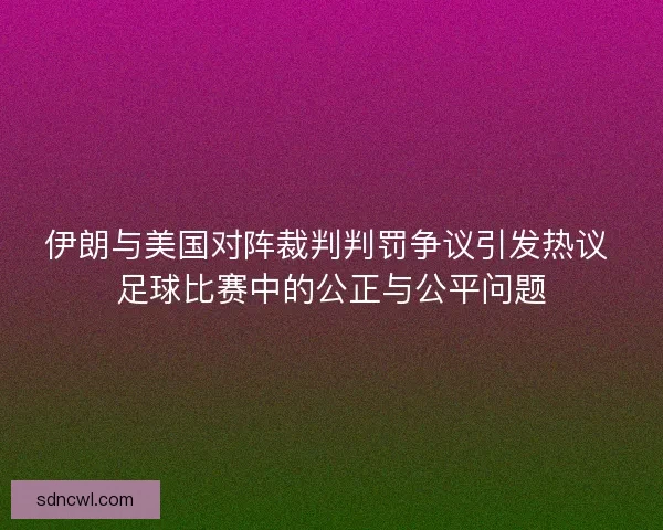 伊朗与美国对阵裁判判罚争议引发热议 足球比赛中的公正与公平问题