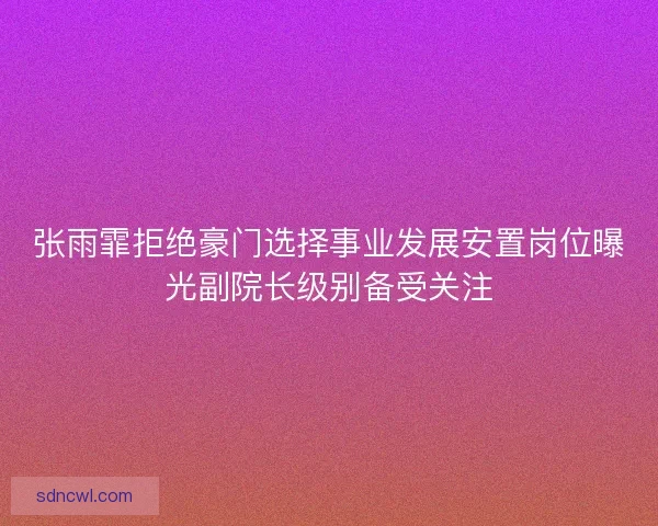 张雨霏拒绝豪门选择事业发展安置岗位曝光副院长级别备受关注