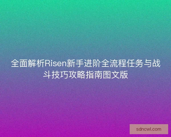 全面解析Risen新手进阶全流程任务与战斗技巧攻略指南图文版