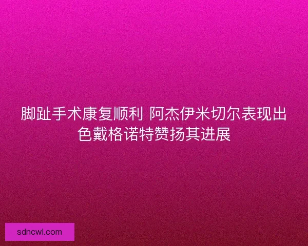脚趾手术康复顺利 阿杰伊米切尔表现出色戴格诺特赞扬其进展 脚趾手术康复顺利 阿杰伊米切尔表现出色戴格诺特赞扬其进展