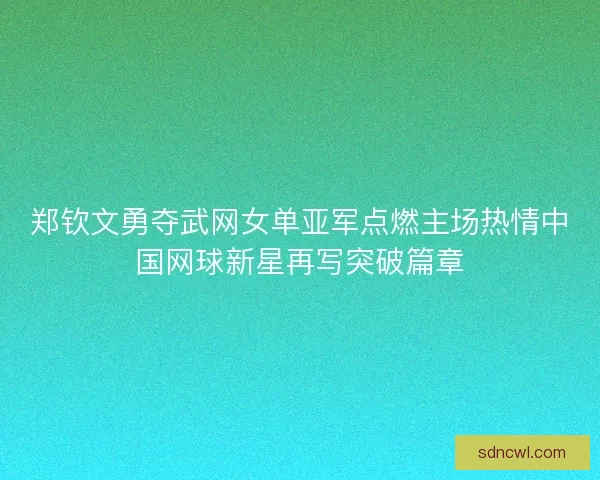 郑钦文勇夺武网女单亚军点燃主场热情中国网球新星再写突破篇章 郑钦文勇夺武网女单亚军点燃主场热情中国网球新星再写突破篇章