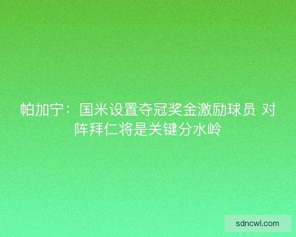 帕加宁：国米设置夺冠奖金激励球员 对阵拜仁将是关键分水岭